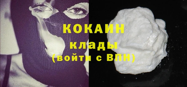 прущие грибы Навашино