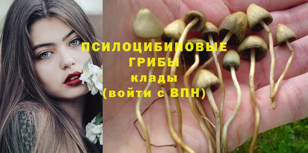 СК Наволоки