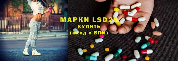 прущие грибы Навашино