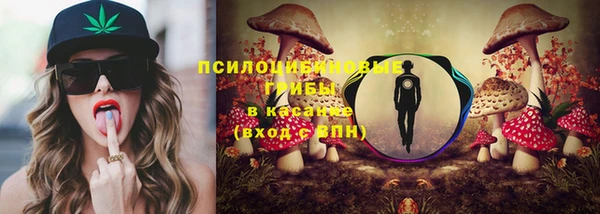 гидра Нея