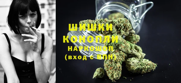 прущие грибы Навашино