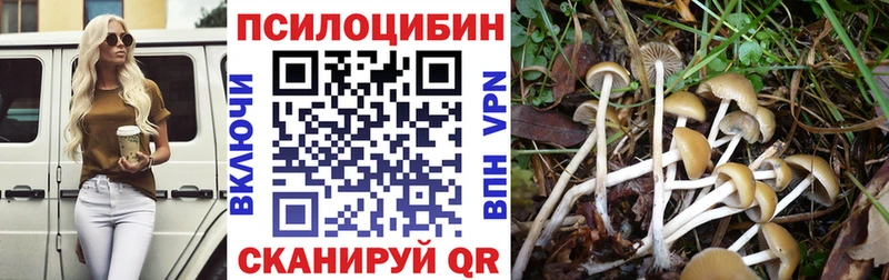 Галлюциногенные грибы мицелий  Купить закладки  Лангепас 