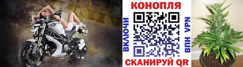 Шишки марихуана план  Купить где  Лангепас 